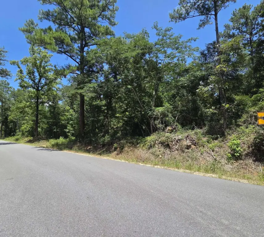 Picture 16