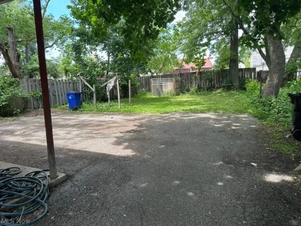 Picture 4