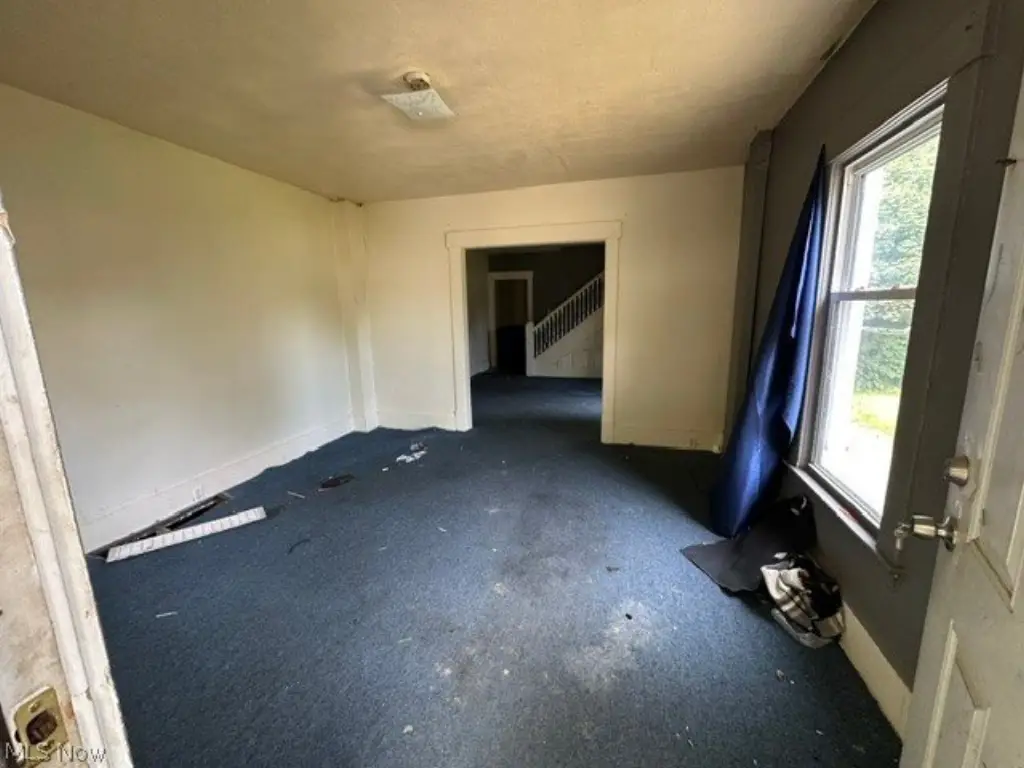 Picture 5
