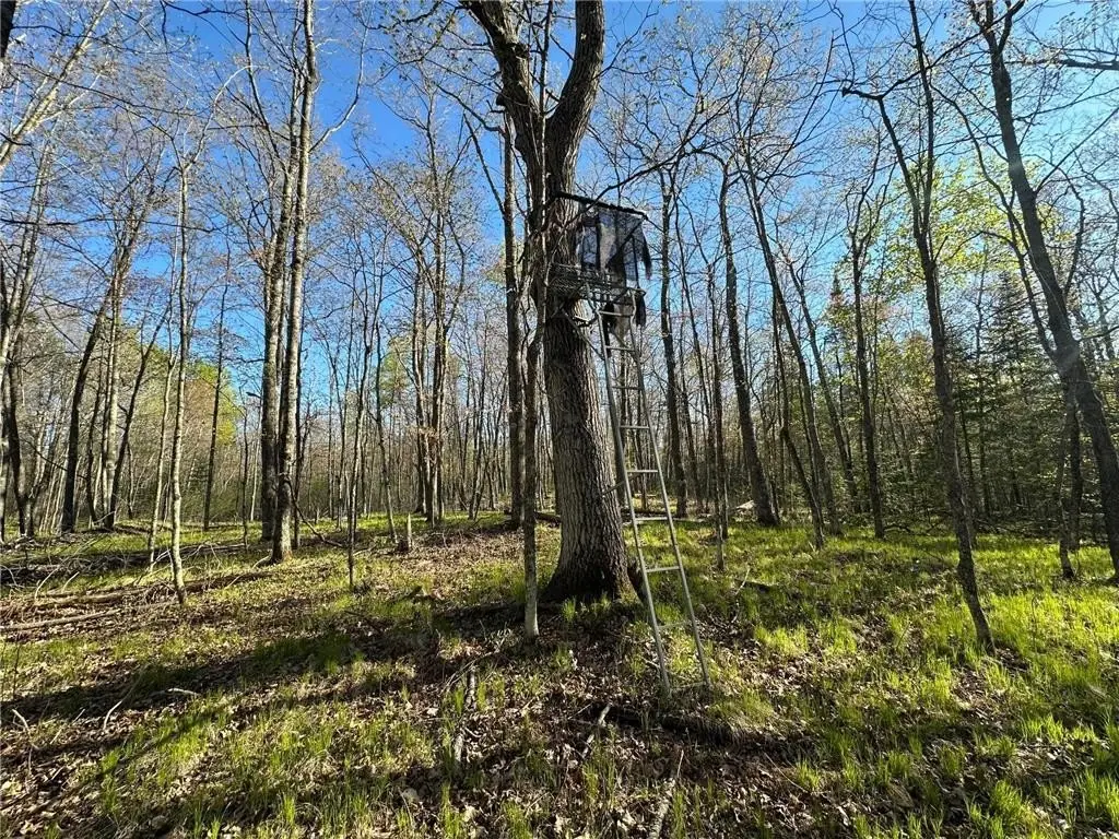 Picture 4