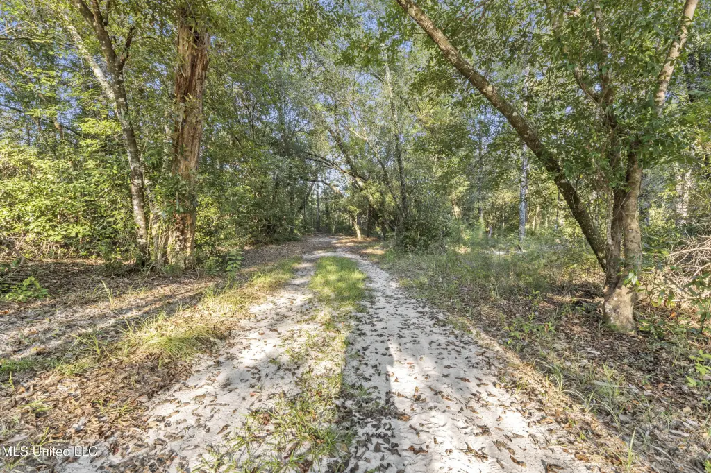 Picture 31