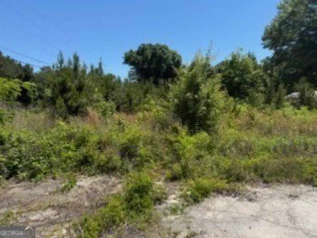 Picture 5