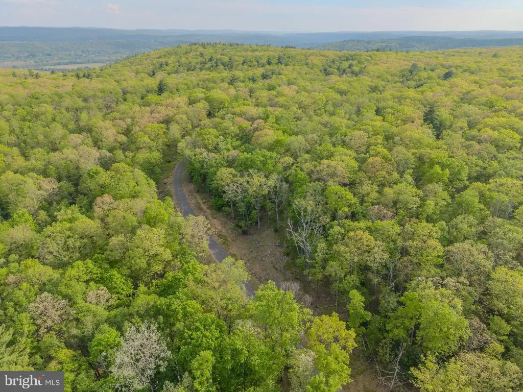 Picture 44