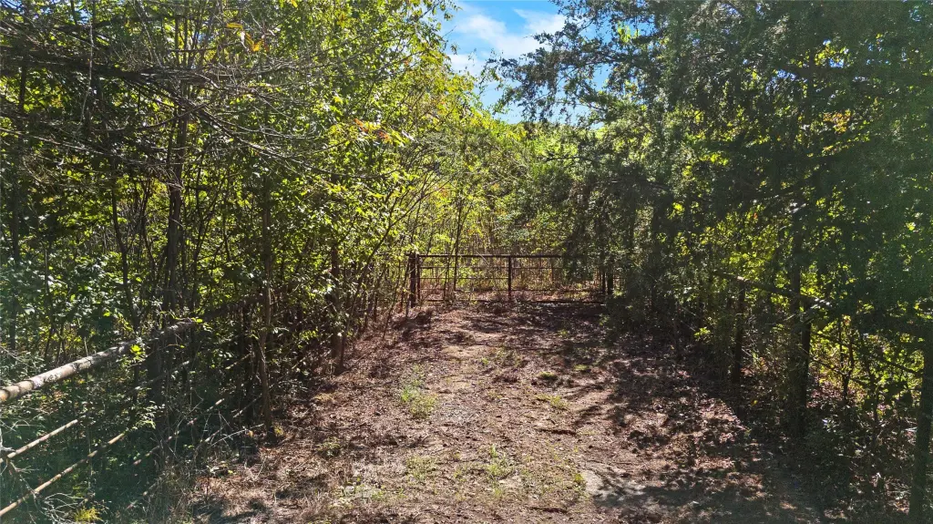 Picture 9