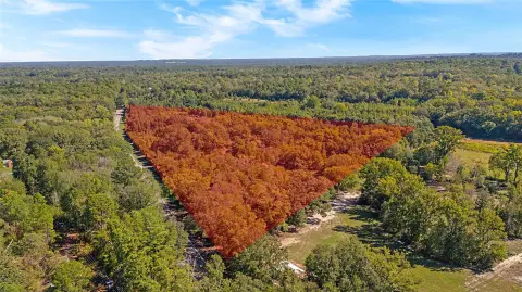 Wooded Land with Creek