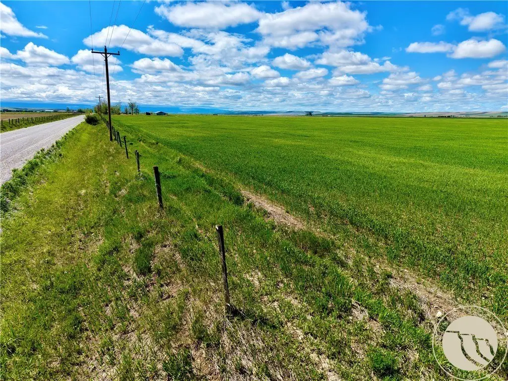 Picture 20