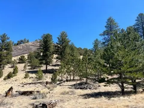 Historic Mining Land in Silver Cliff
