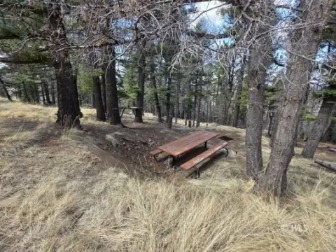 Forested Land in Westcliffe, CO