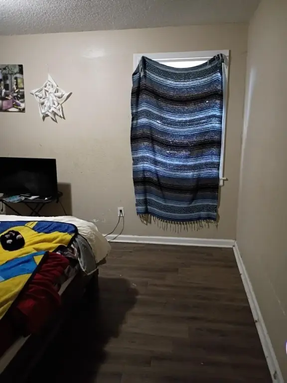 Picture 8