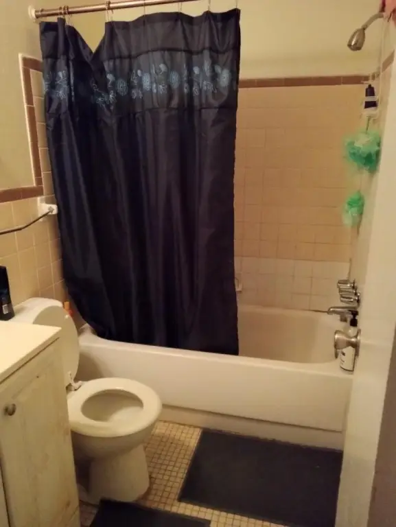 Picture 21