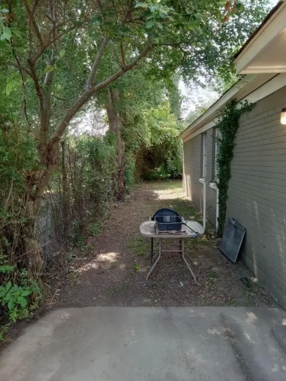Picture 13