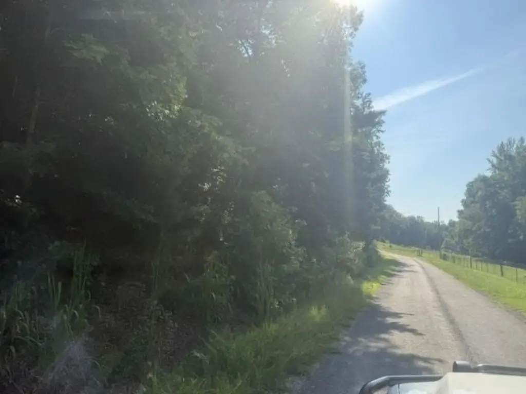 Picture 6