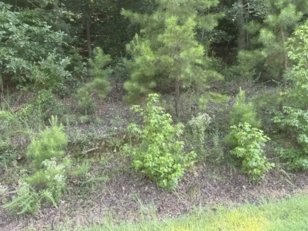 Picture 13