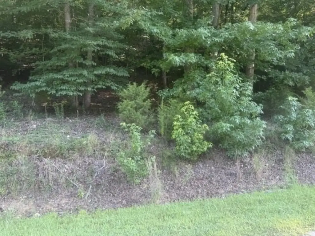 Picture 18