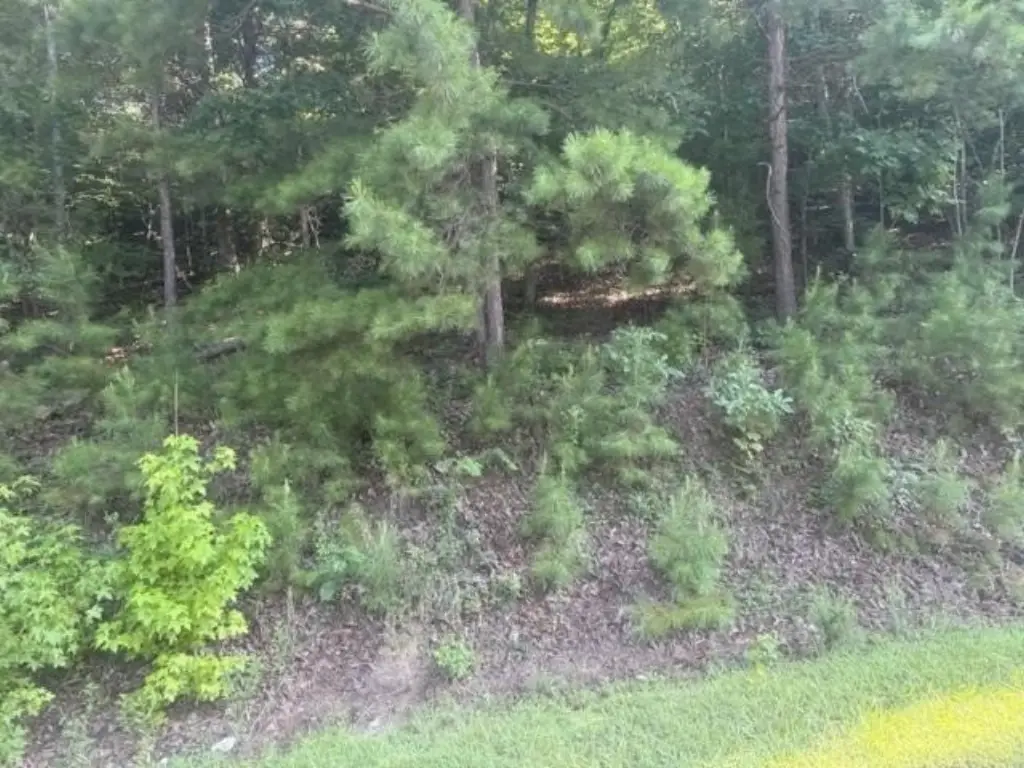 Picture 12