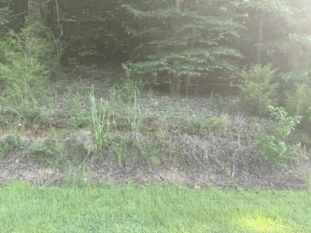 Picture 17
