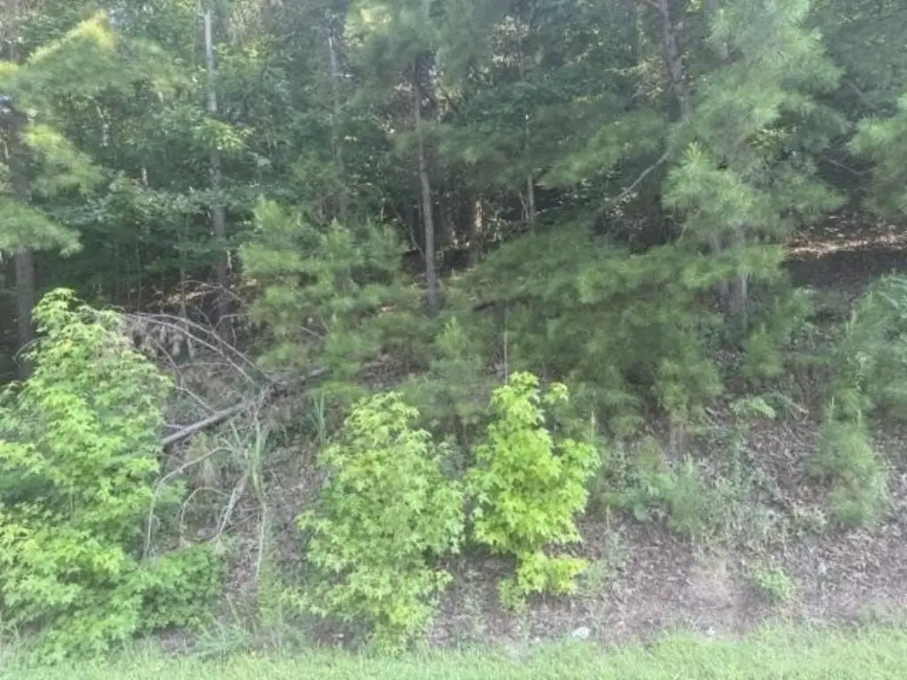 Picture 11