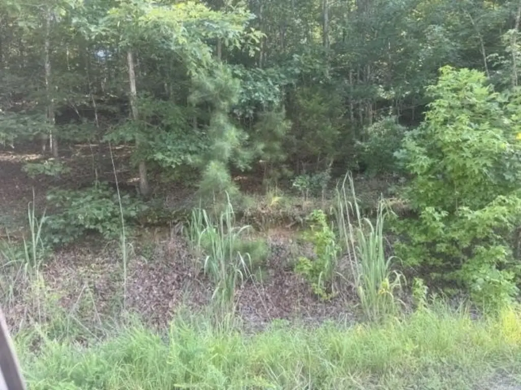 Picture 8