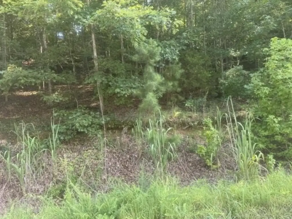 Picture 7