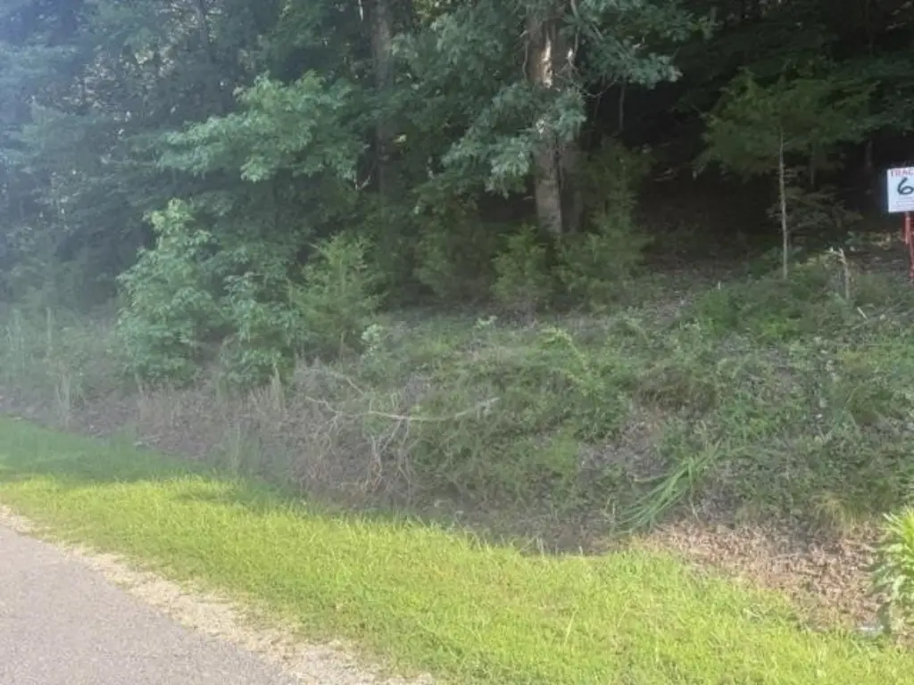 Picture 21