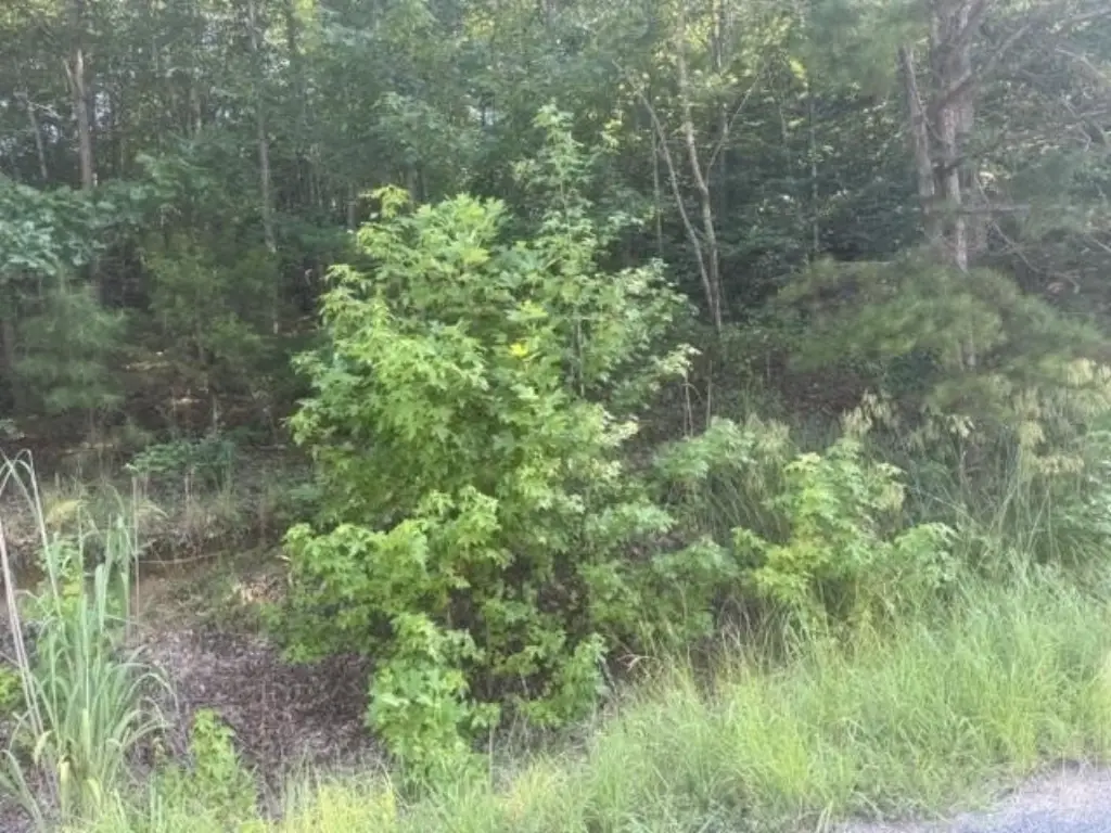 Picture 9