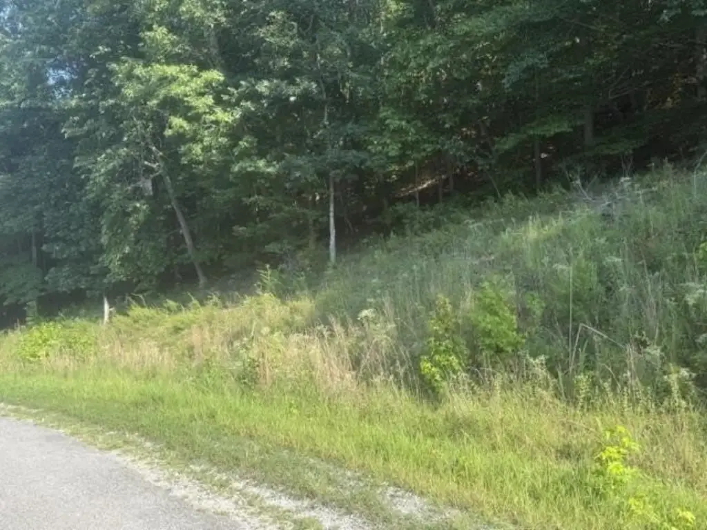 Picture 16