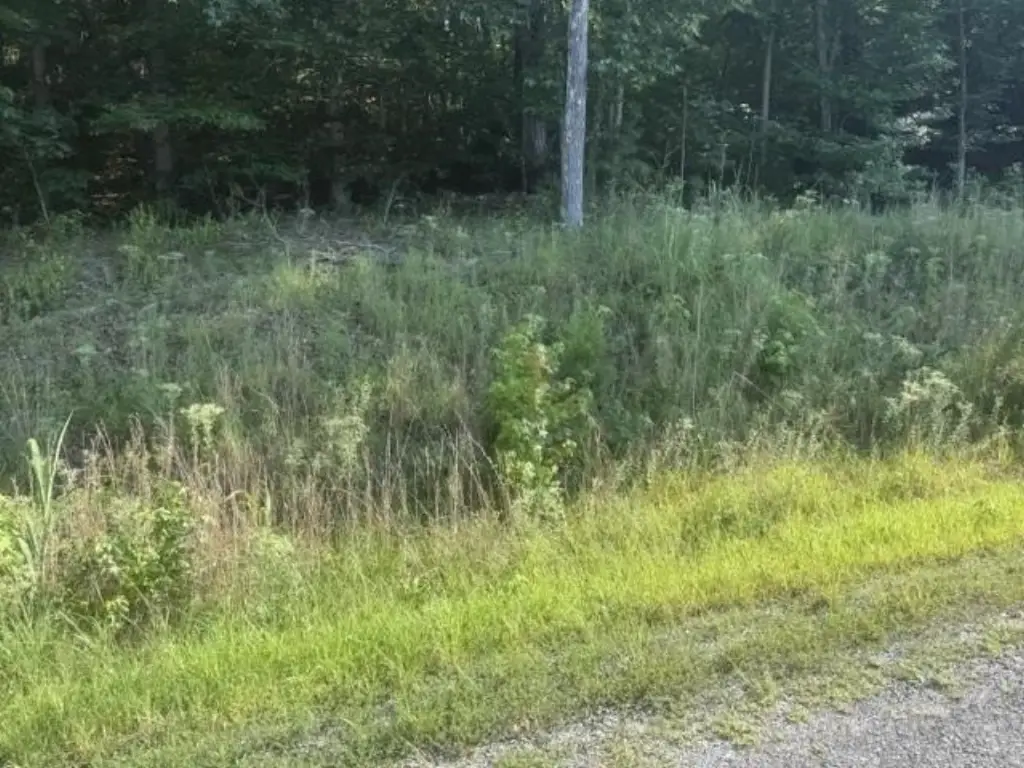 Picture 14