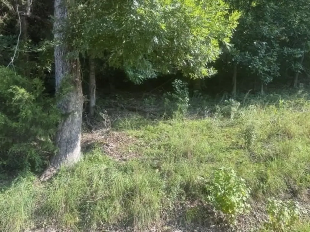 Picture 7
