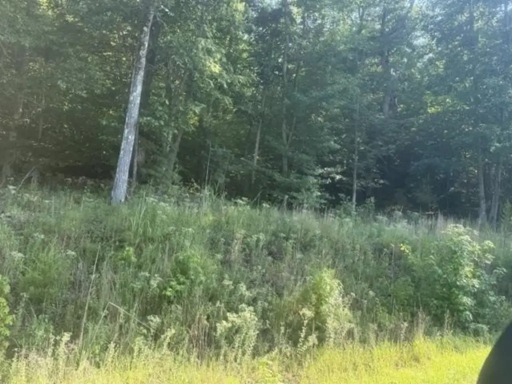 Picture 15