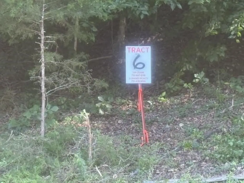 Picture 2