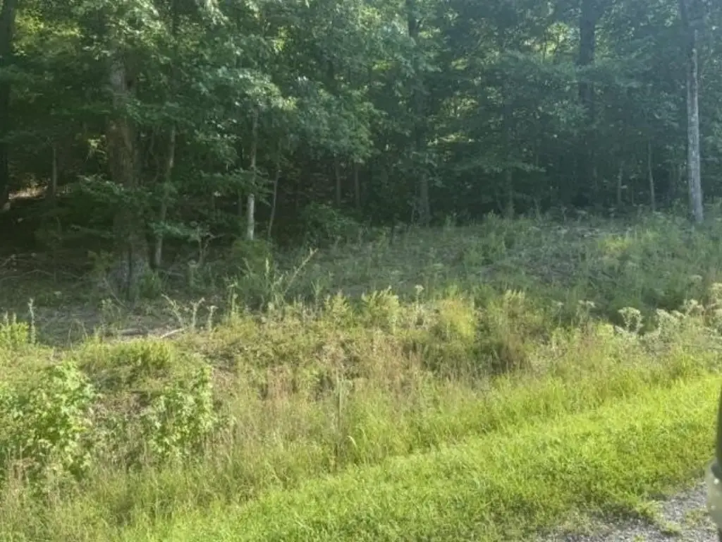 Picture 11