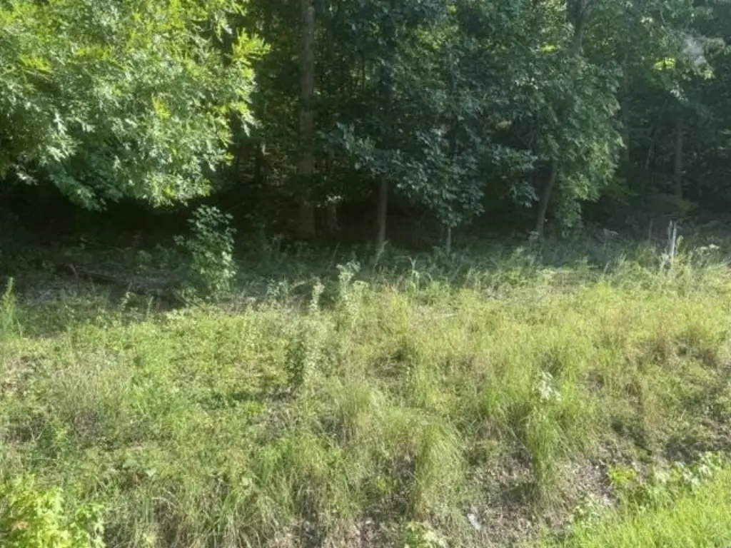 Picture 8