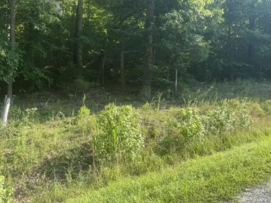 Picture 10