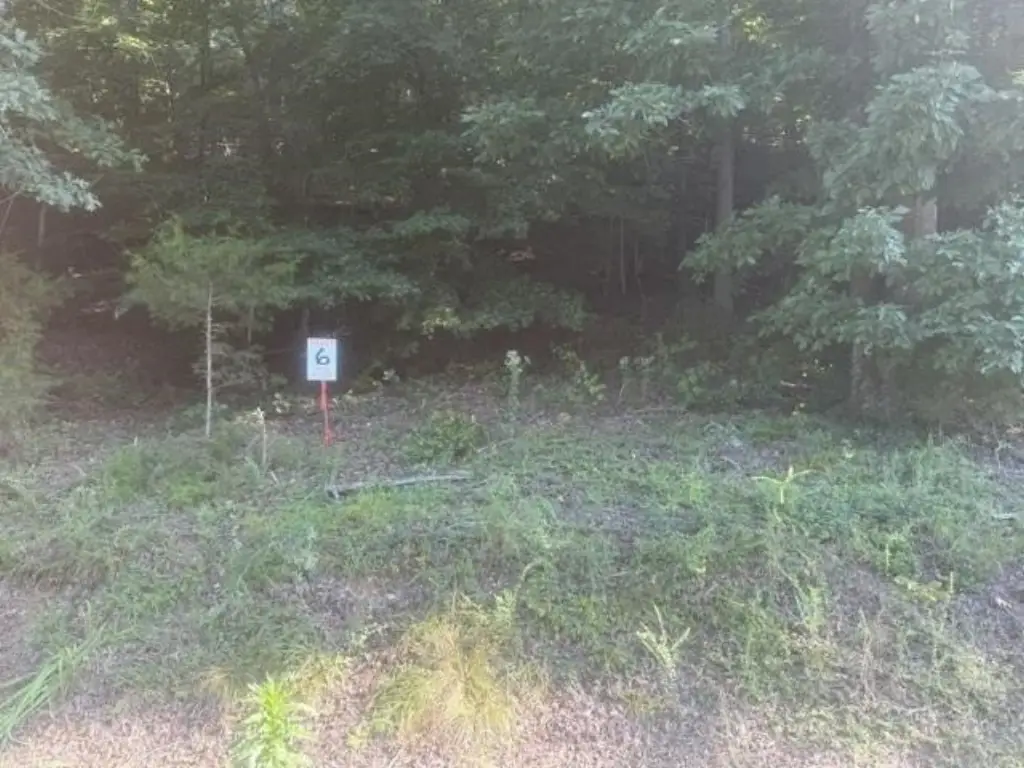 Picture 3