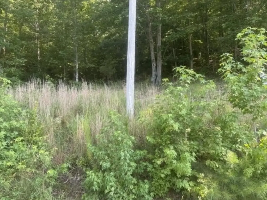 Picture 18