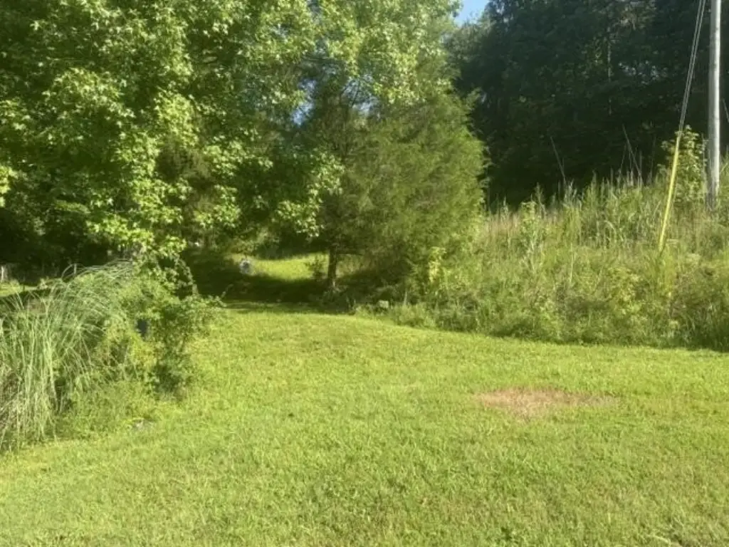 Picture 19