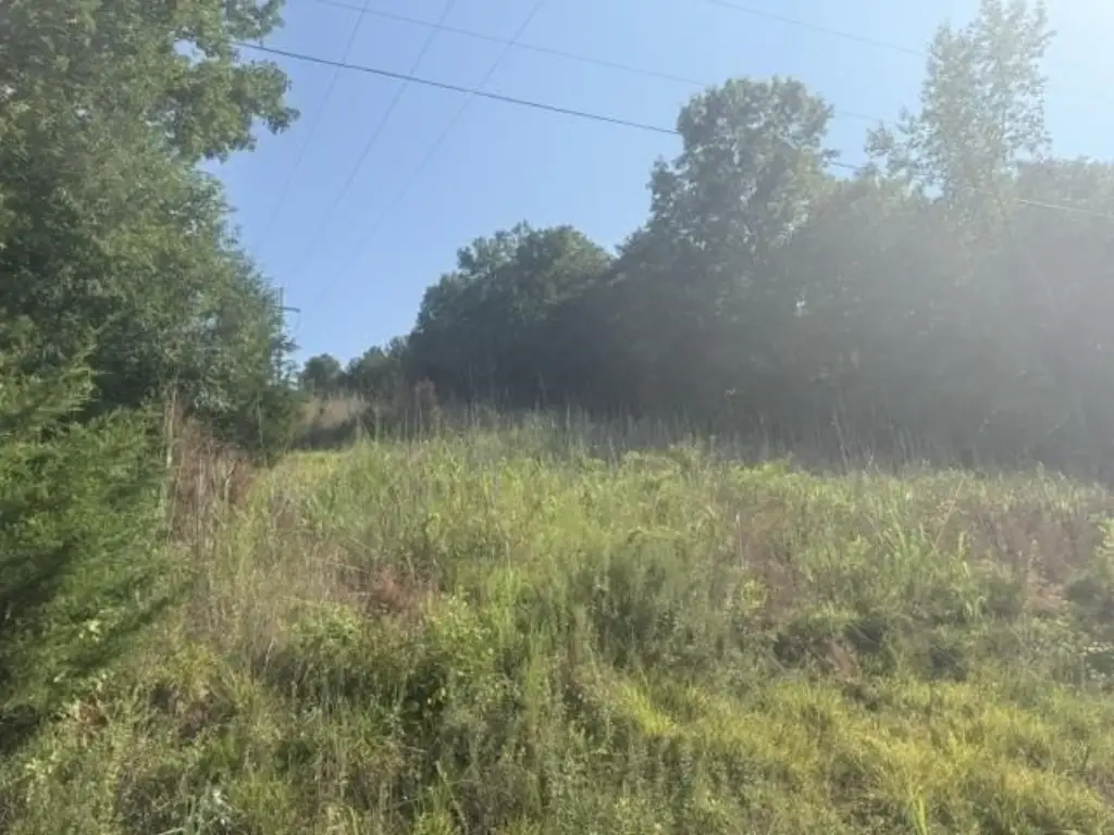 Picture 23