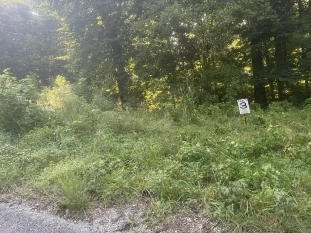 Picture 17