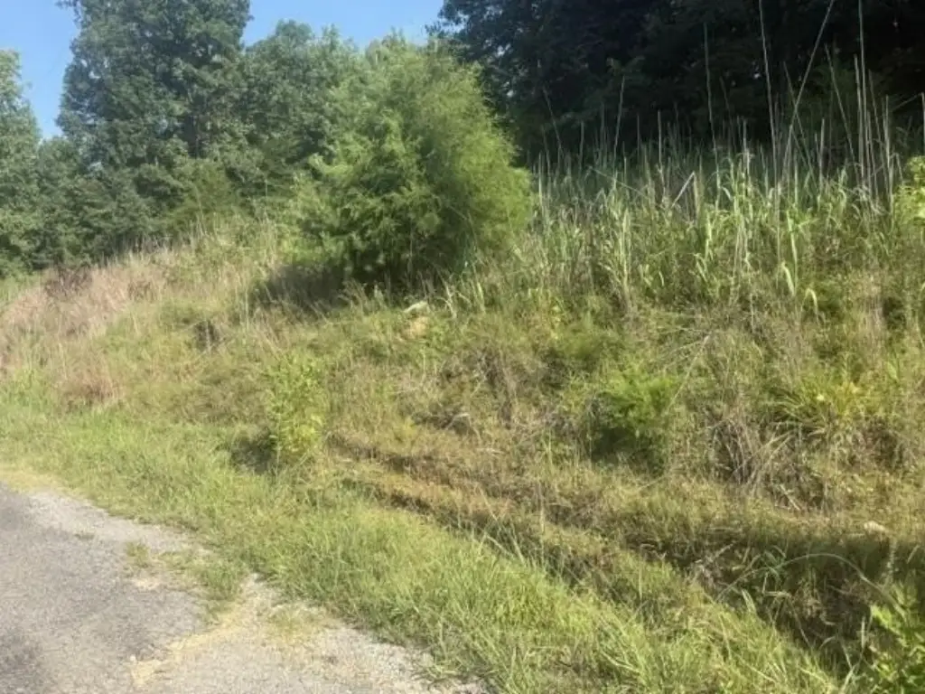 Picture 3