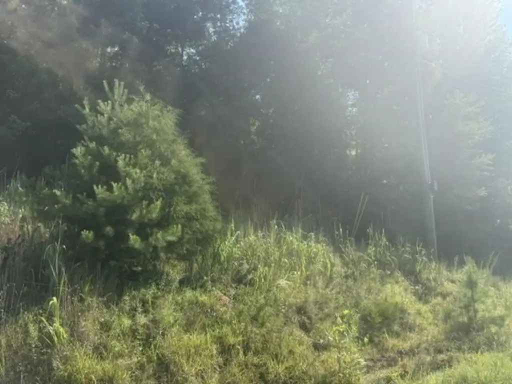 Picture 2