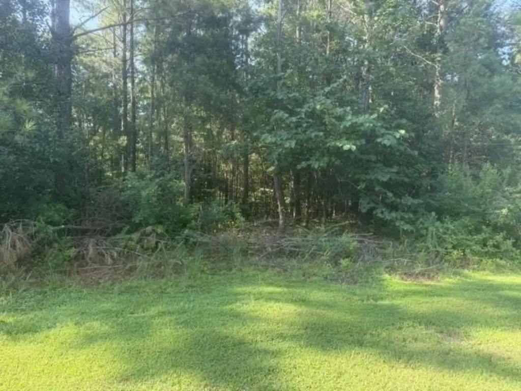 Picture 10