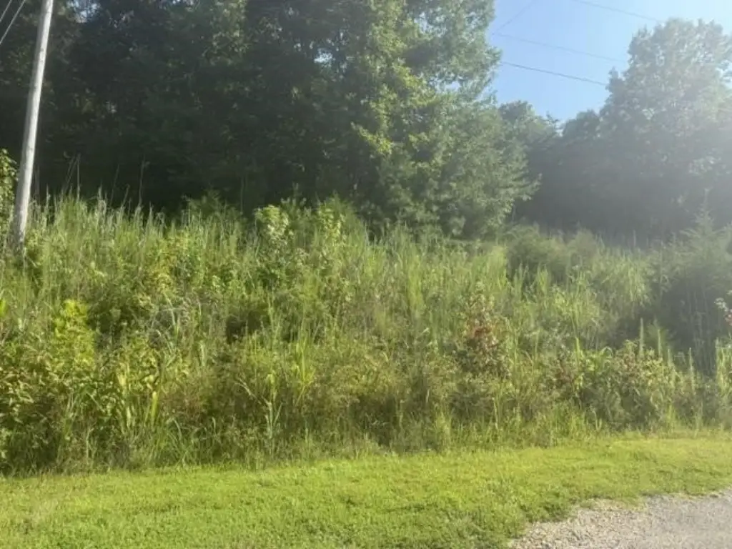 Picture 21