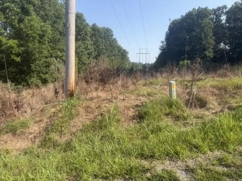 Picture 16