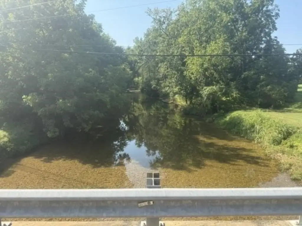 Picture 20