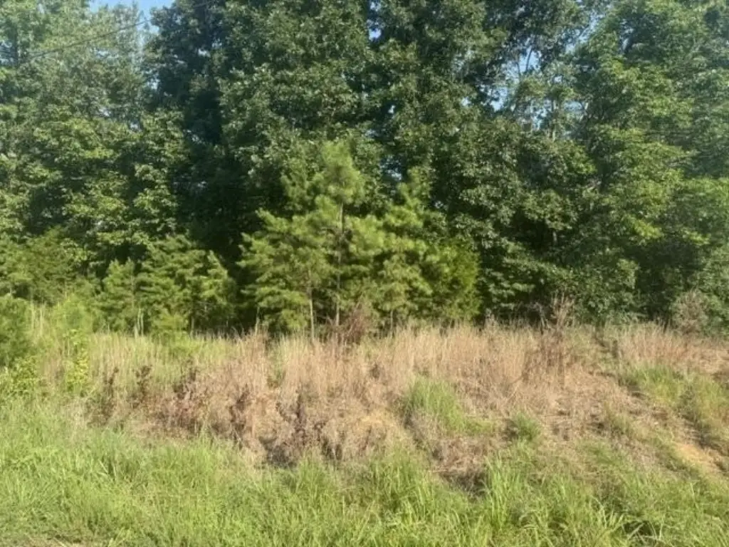 Picture 14