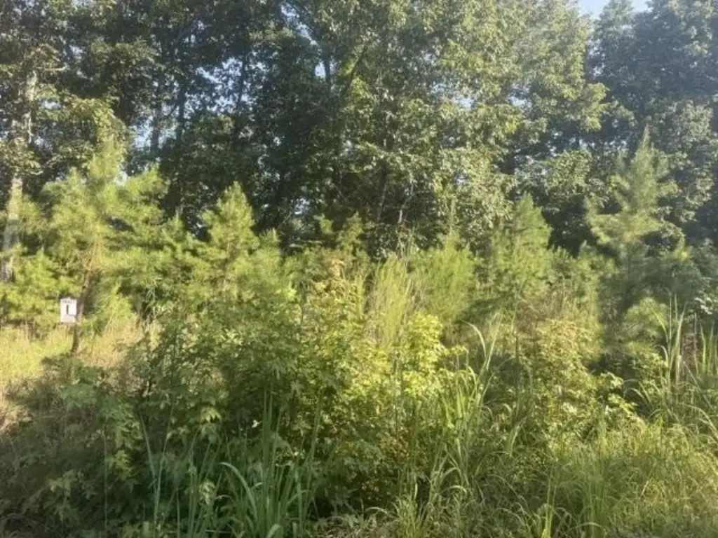 Picture 4
