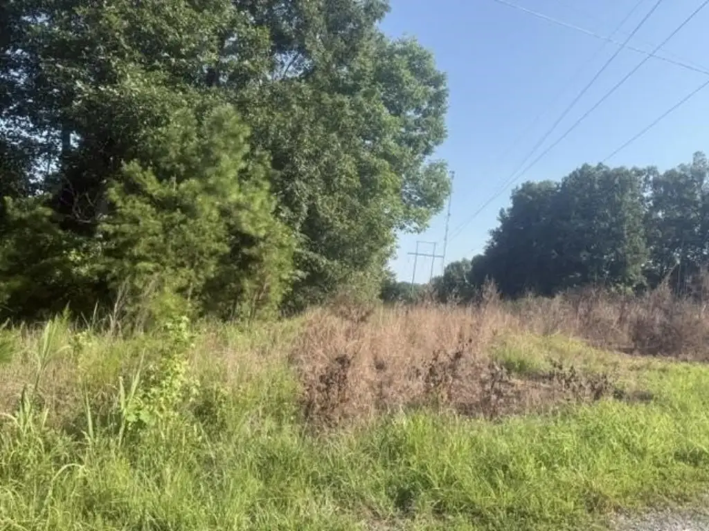 Picture 11