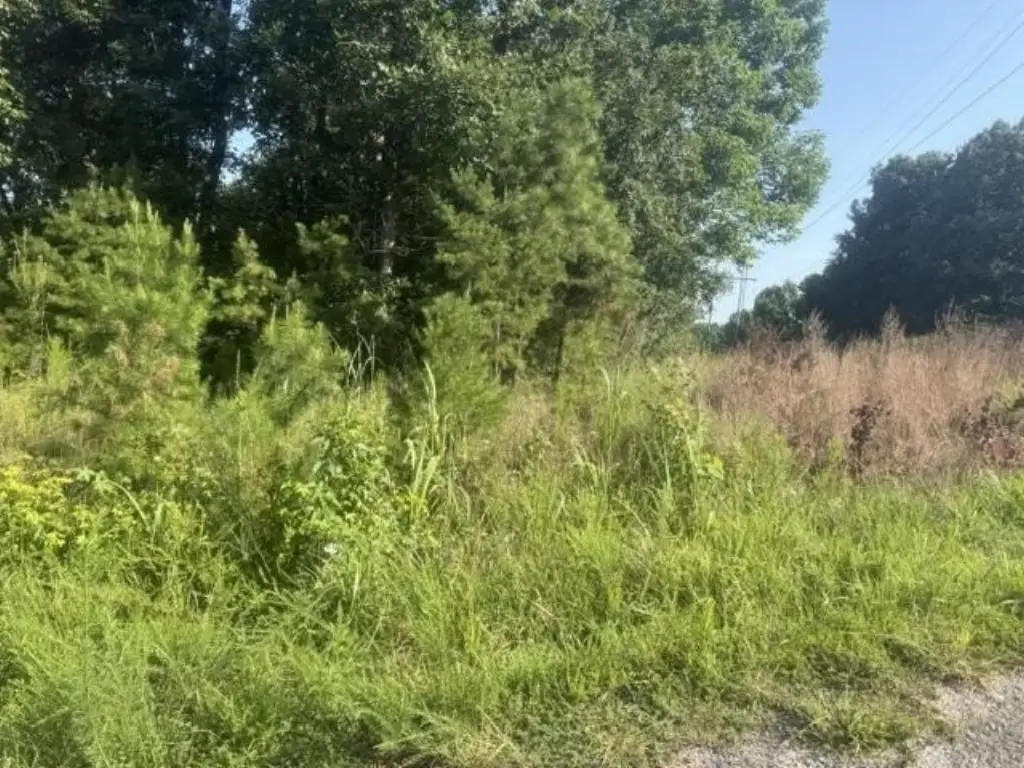 Picture 10