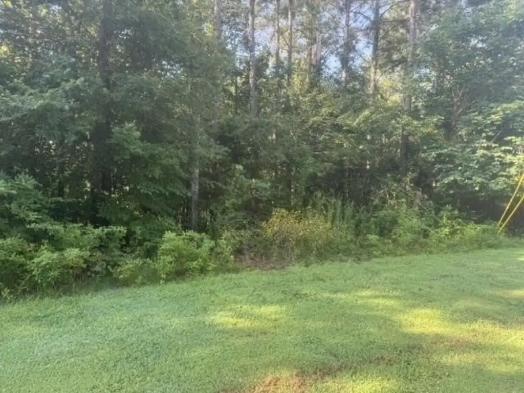 Picture 27
