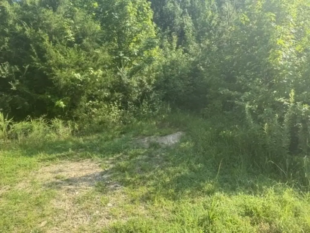 Picture 14